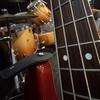 たく Bass