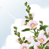 北白川