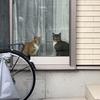 後藤／集客Webディレクター