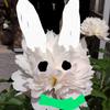 あぜみちたろー