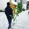 goyagreen