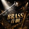 BRASS音綱