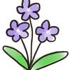 sumire design
