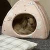 エミッキー