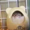 タクミンZOO