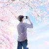 彩風けい【いろかぜけい】