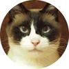 nukobass