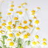 お話聞き屋　ユキ