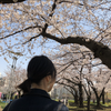 Sayaka_K_WebCreator