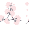 Aizumi