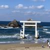坂口 哲雄