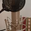 Mia_voice