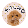 mochi_shop
