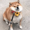 もなこっち