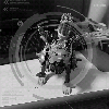ゴジモン