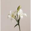 haku_design