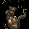 まぁまあせちこ