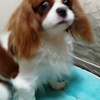 東 祐輝