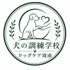 dogcareshunan