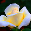 j888t888