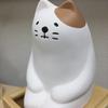 おでこジャングル