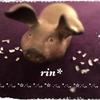 rinー凜