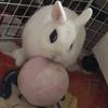 パオントッキー