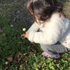 さち＊sachi