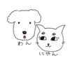 ぱゆっく