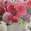 Roses map ローズイズマップ