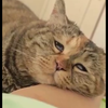 あいら_メンタリスト