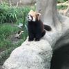 キャリアコンサルタント　ひで
