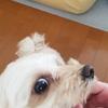 ちゃんラブ