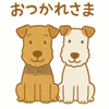 うつ病経験者の作業療法士ママ
