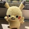 ピカっち