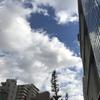 おいもたろうだ