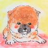 にがおえ　ゆうき