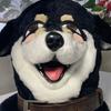 コウ太