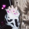 hll2rnn