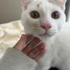 やまだ9293