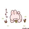 かばちゃんた