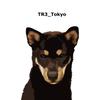 TR3_Tokyo