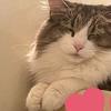 amy0610