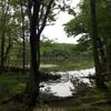 城野えみ。