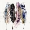 yamm