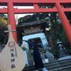HANA（花）