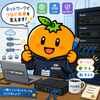 mikan_73193