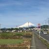 はまなた