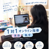 wiseuponlineschool