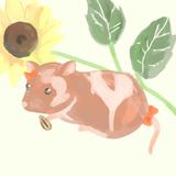 ゆずらっち